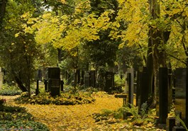 Cementerios de Olšany