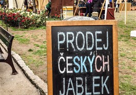 Mercado local de Jiřího z Poděbrad